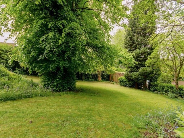 Lawns and trees add up to a beautiful garden at the £800,000 house.