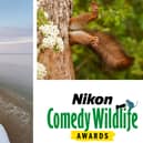 Mansfield Museum and Art Gallery is inviting wildlife lovers and photographers to become part of its brand-new exhibition, Comedy Wildlife, by sharing their own hilarious wildlife photographs