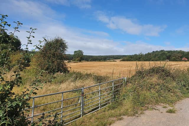 Proposals to remove Whyburn Farm from the draft local plan will be discussed and voted upon by the draft local plan steering group.