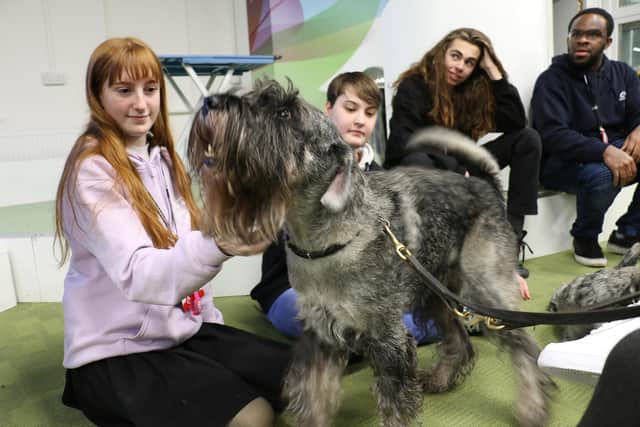 Students were able to meet a multitude of animals during industry week.