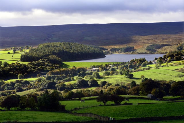 Langsett Reservoir, east of Stocksbridge off the A616, is surrounded by a three-mile walking route through woodland and across open moors that offers good views.