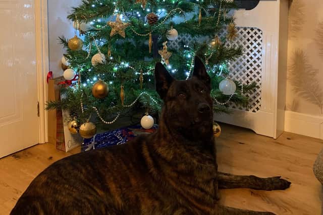 PD Benson on duty. Picture by South Yorkshire Police