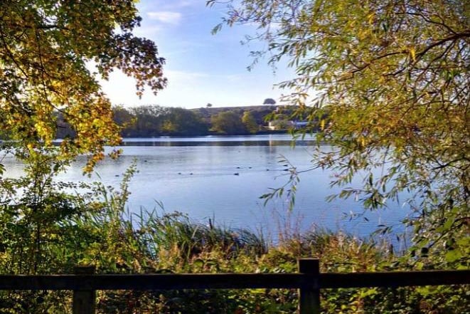 King's Mill Reservoir is a favourite for many Mansfield and Sutton dog walkers. The 32-acre nature reserve reservoir also has a dog-friendly café. Located at Sutton-in-Ashfield, NG18 5HY.