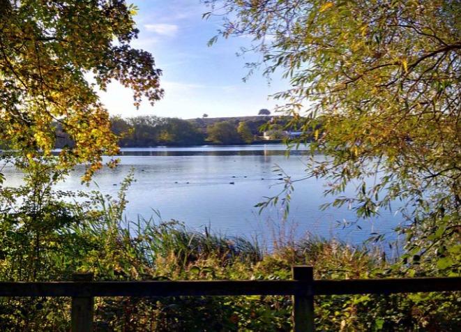 King's Mill Reservoir is a favourite for many Mansfield and Sutton dog walkers. The 32-acre nature reserve reservoir also has a dog-friendly café. Located at Sutton-in-Ashfield, NG18 5HY.