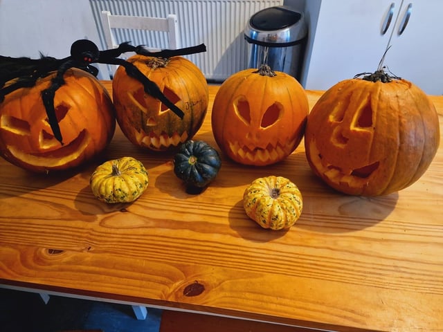 Caron Green shared a photo of a pumpkin family. These pumpkins were carved by her 12-year-old, nine-year-old, six-year-old and three-year-old children. Thanks for sharing.