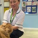 Archie, Volunteer Dog, pictured with Ann Woodhouse, Occupational Therapist.