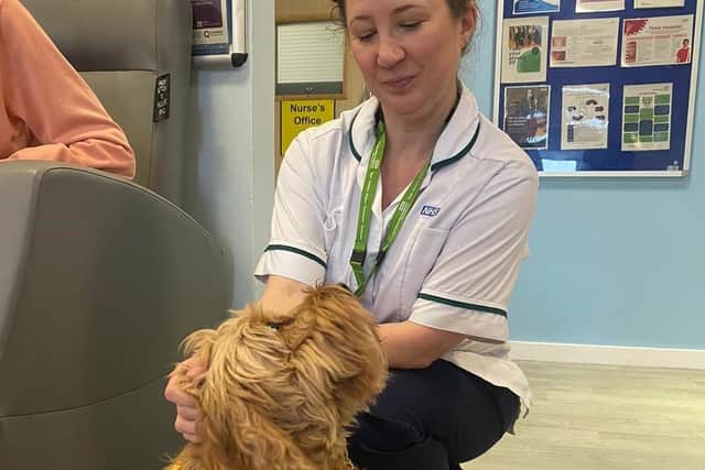 Archie, Volunteer Dog, pictured with Ann Woodhouse, Occupational Therapist.