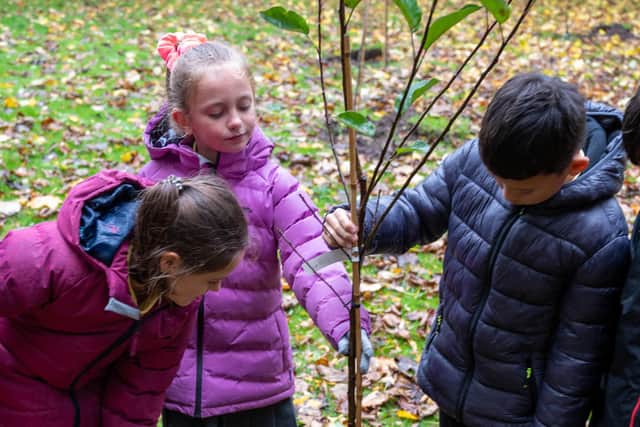 This is a unique learning opportunity for pupils.