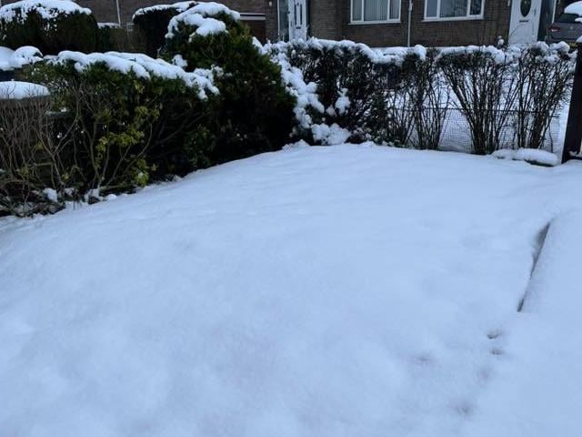 A proper covering for Rose Eaton's garden in Sutton.