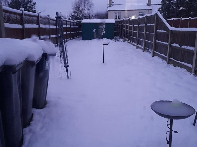 A snowy scene in Michelle Liddington's Kimberley garden.
