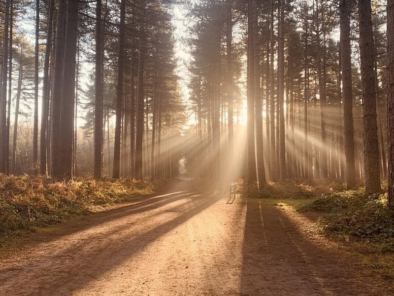 Generally considered a moderately challenging route, it takes an average of 2 h 8 min to complete. This is a popular trail for hiking, mountain biking, and running, but you can still enjoy some solitude during quieter times of day. Rated: Moderate.