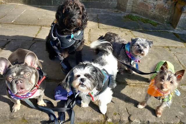 Poppy's Pet Parlour is a successful pet-grooming business that has been run from her home by Tina Adams.