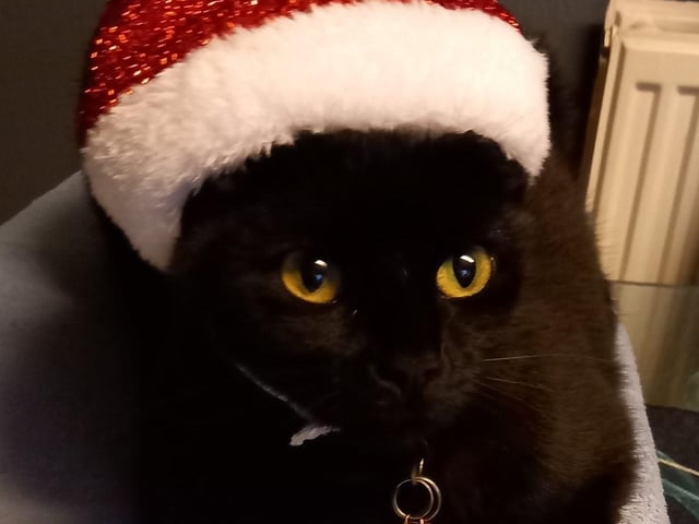 Wendy Hudson Carden shared a photo of Maya. (Millie's mum)