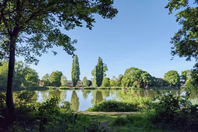 Sutton Lawn