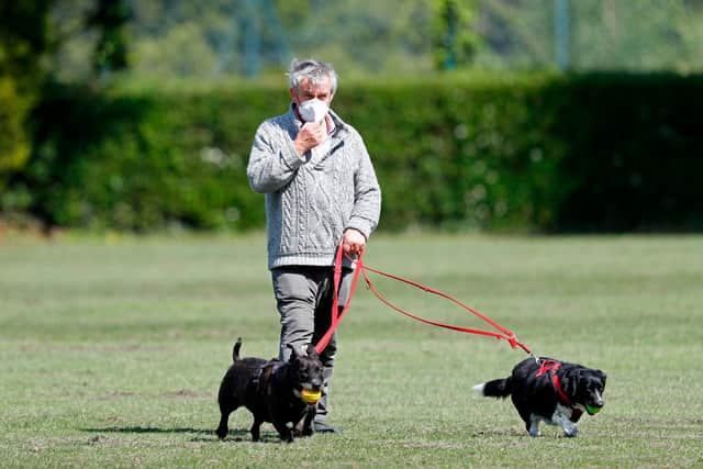 A dog walker in a mask walks his dogs as life in Britain goes on under lockdown in an effort to halt transmission of the novel coronavirus. (Photo by Adrian DENNIS / AFP) (Photo by ADRIAN DENNIS/AFP via Getty Images)