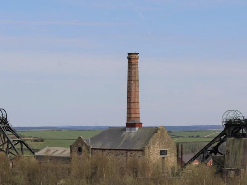 Pleasley is full of beautiful dog walks. From the popular Pleasley Pit Nature Reserve (Pit Ln, Pleasley, Mansfield NG19 7PH) to Pleasley Vale on the Nottinghamshire/Derbyshire border. It is a popular visiting spot for walkers.