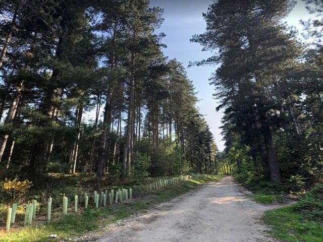 Kitchener Trail is a beautiful 13.8 kilometre loop route located near Mansfield.