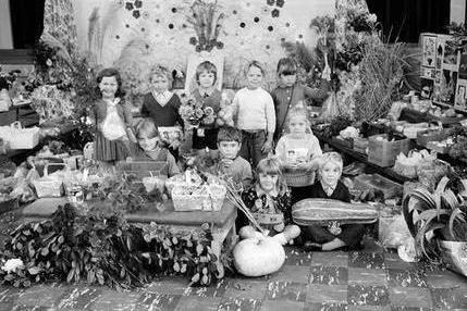 Samuel Barlow School show off their produce at the 1973 Harvest Festival.