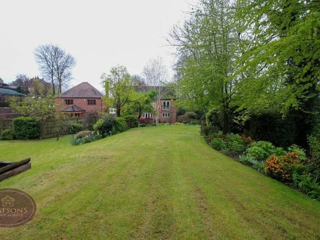 A long, landscaped lawn is surrounded by a range of plants, shrubs and fruit trees in the back garden.