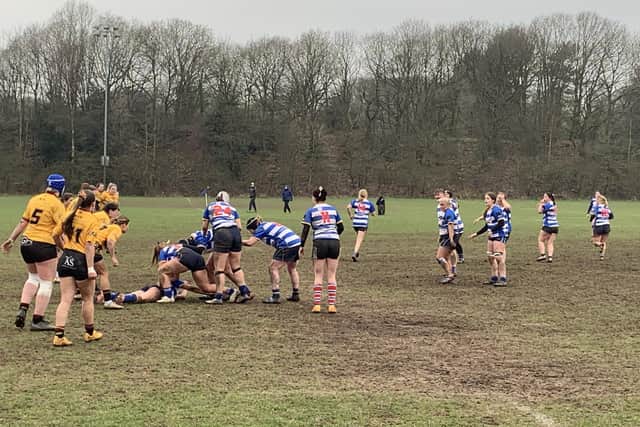 Mansfield in action against Sheffield on Saturday.