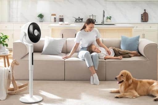 Levoit launches the revolutionary pedestal air circulator fan which cools powerfully and quietly for peaceful and uninterrupted sleep.