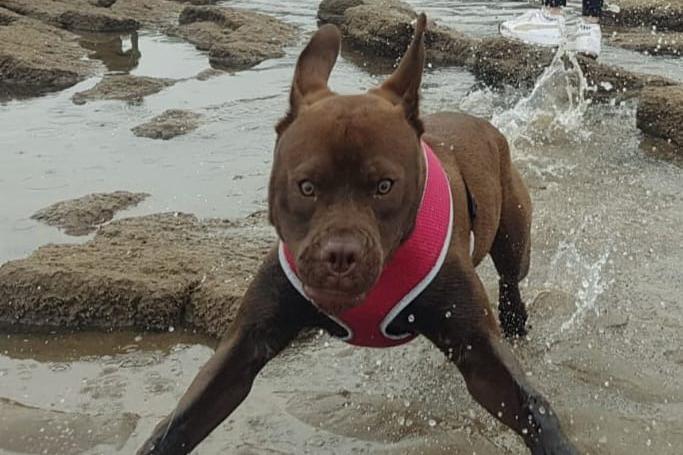 Cilla will turn five in a month.