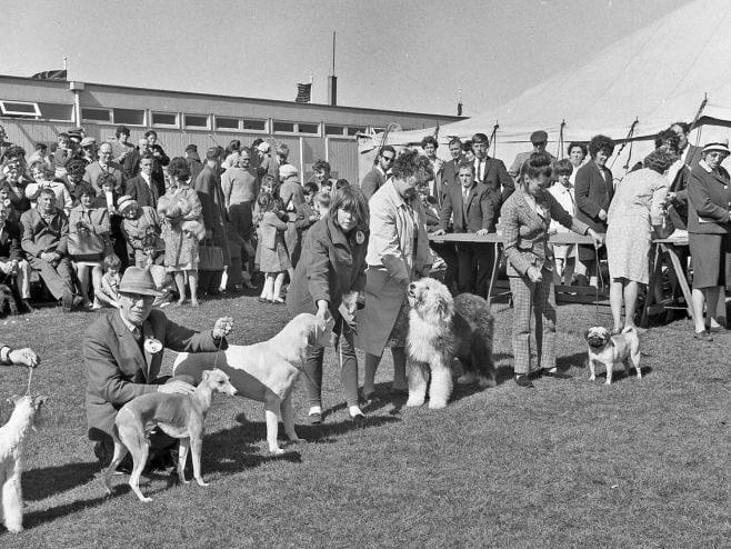 Mining galas have been popular in the area for decades, as colliery workers and their families enjoyed community festivities such as pageants, dog shows, activities, and brass band parades.