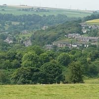 Fresh bid to build houses on eyesore former allotment land in Ashfield