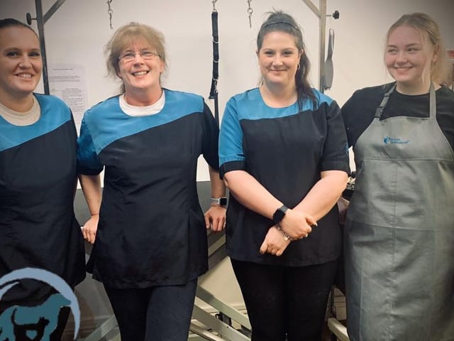 Diversipets Grooming Salon is located in Mansfield. The business has a training school and is a member of the British Dog Groomers Association. For more information, call 01623 368108 or email diversipets@hotmail.com