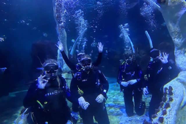 Sutton Manor Staff Team swimming with sharks!