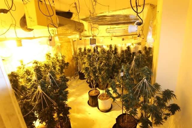 The cannabis grow on Bentinck Street, Mansfield.