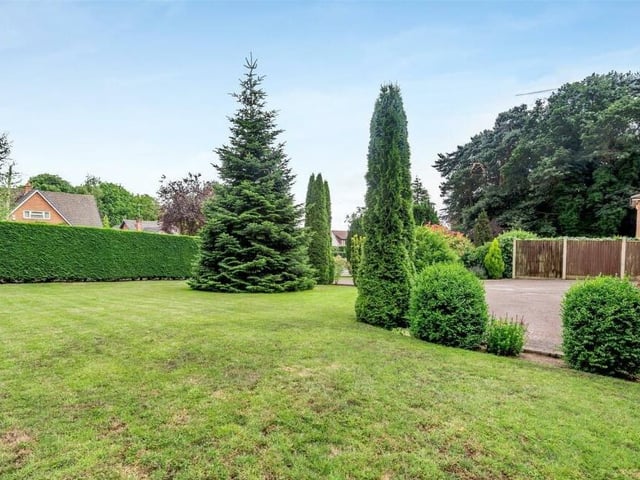 The front garden is distinguished by conifer trees and a well-maintained lawn.