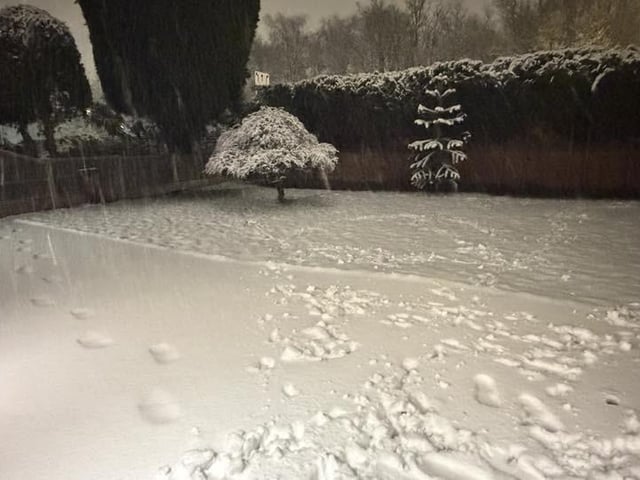 Maz Taylor's already well covered Kirkby garden as the snow continues to fall.