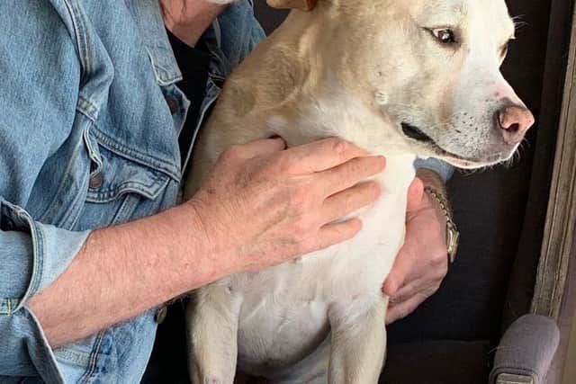 Peter with his beloved dog Pippa who sadly passed away this year - Animal News Agency