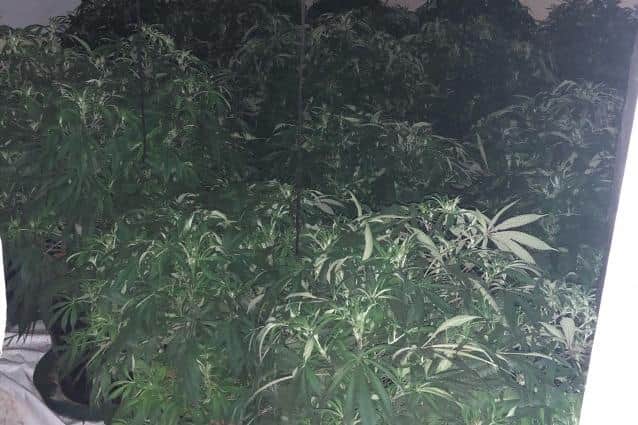 Cannabis was found at a house in Alfreton Road, Sutton, earlier this month.