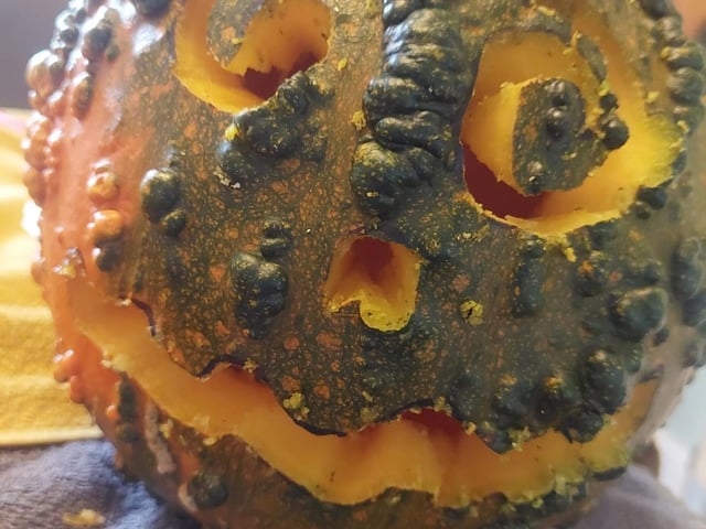 A bumpy pumpkin from Debdale Lane.