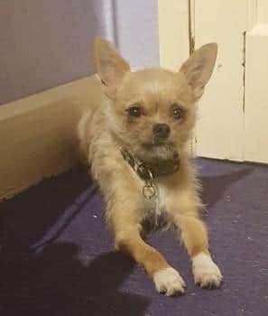 Copper has been found
