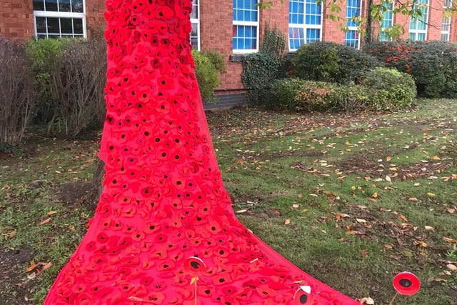 Eastlands Primary School have unveiled their poppy display.