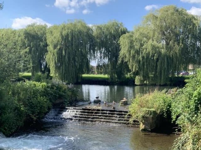 This photo was taken on The Carrs, Warsop.