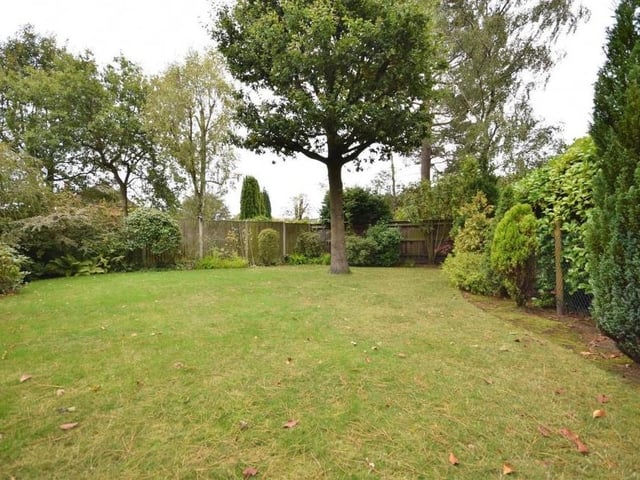 The garden at the back of the house is a gorgeous sight. A lovely lawn has the backdrop of a canopy of leafy tree tops, while a pretty mix of plants and shrubs sit within the borders.