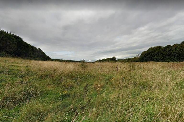 The Shirebrook Wood Walk is a picturesque 4.3 kilometre loop trail located near Mansfield. Perfect for a family walk on a fresh winter's day.