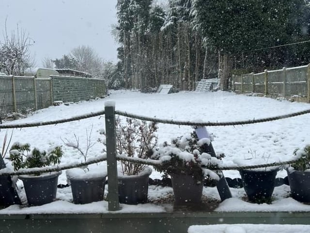 A snowy garden in Ladybrook.