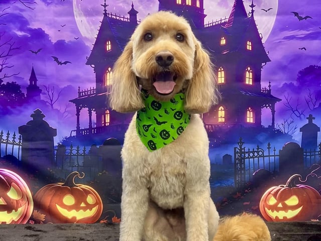 Looking rather dashing and very happy