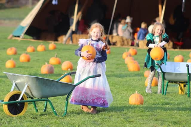 The Halloween attraction was a huge success