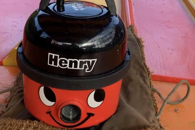 Henry enjoyed taking on the slides at Sherwood Forest Fun Park.