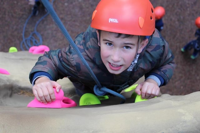 Spring into March!......12 things to do this weekend in Mansfield and ...