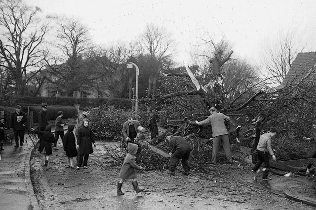 A 50ft tree which fell across Craiglockhart Road is sawn up by residents in April 1960.