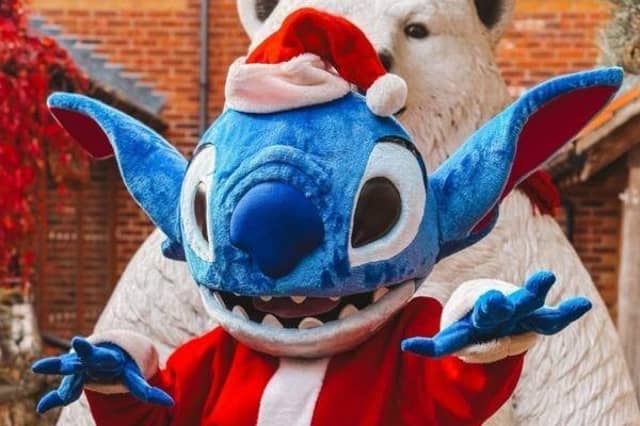 Magical Meet and Greet Christmas Characters at the Tropical Butterfly House.
