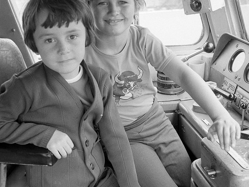 These two look to be enjoying being in the driving seat.