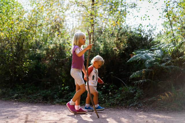 Two children exploring a woodland.